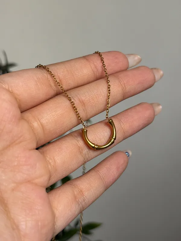 Horse shoe necklace 🧲